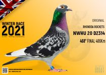 NWHU 20 D2314